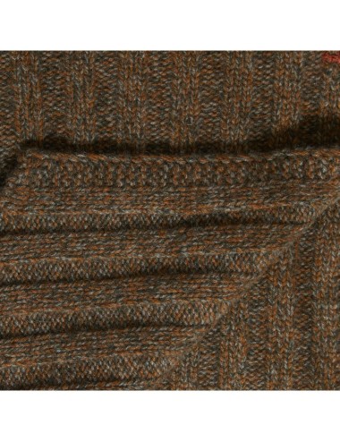 Plastron Rust