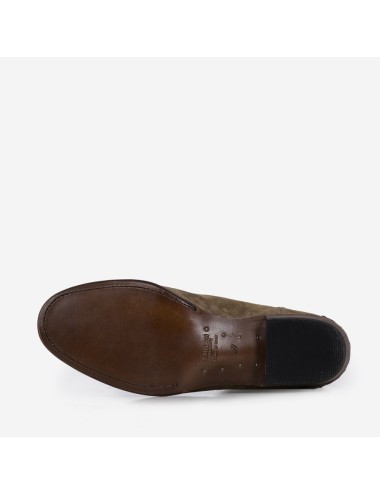Midnight Lord Chestnut Brown